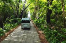 5 Hours St. Nicholas Abbey and Bajan Tour in Barbados