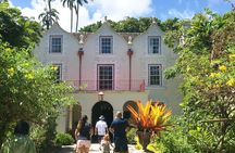 5 Hours St. Nicholas Abbey and Bajan Tour in Barbados