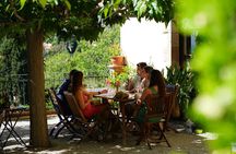 Ebike Tour, Winery, Wine Tasting & Sailing Experience(car option)