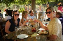 Ebike Tour, Winery, Wine Tasting & Sailing Experience(car option)