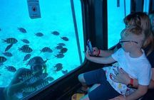 Semi Submarine Trip 2 Hours With Transfer from Sharm