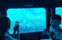 Semi Submarine Trip 2 Hours With Transfer from Sharm