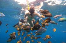 Snorkeling In Nusa Penida Island With Manta Ray From Bali