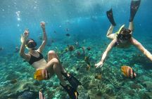 Snorkeling In Nusa Penida Island With Manta Ray From Bali