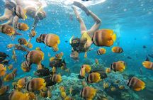 Snorkeling In Nusa Penida Island With Manta Ray From Bali