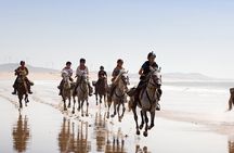 Half Day Quad Bike Adventure and Horse Ride in Taghazout Beach