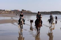 Half Day Quad Bike Adventure and Horse Ride in Taghazout Beach