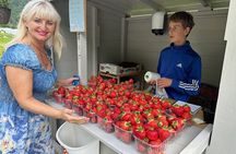 A private tour of the Alesund Trollstigen and Strawberry Valley