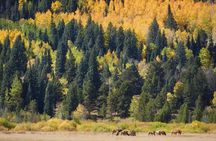 Private Rocky Mountain National Park 4 Hour Tour 