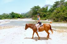 Horseback Riding & Bamboo Rafting Ocho Rios (Transportation Only)