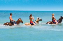 Horseback Riding & Bamboo Rafting Ocho Rios (Transportation Only)
