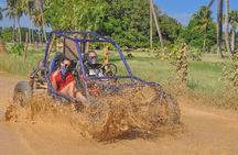 Experience Buggies in Punta Cana