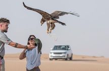 4hr Desert Safari: Sunset,Sunrise,Camel,Sand boarding,Inland Sea