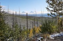 Nature Walk in Glacier National Park