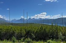 Nature Walk in Glacier National Park