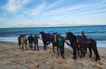 Horseback Riding in El Sosiego Ranch in Baja California Sur