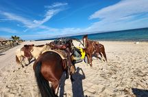 Horseback Riding in El Sosiego Ranch in Baja California Sur