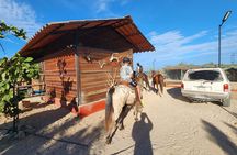 Horseback Riding in El Sosiego Ranch in Baja California Sur