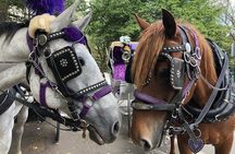 Private Christmas Lights Horse Carriage Tour In New York City