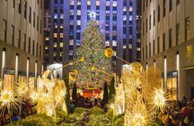 Private Christmas Lights Horse Carriage Tour In New York City
