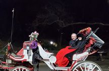 Private Christmas Lights Horse Carriage Tour In New York City