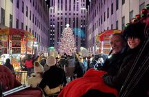 Private Christmas Lights Horse Carriage Tour In New York City