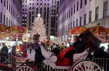 Private Christmas Lights Horse Carriage Tour In New York City
