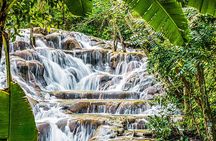 Dunns River Falls and Horseback Riding Tour from Montego Bay
