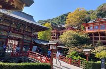 Fukuoka to Nagasaki 2 day/ 1 night tour