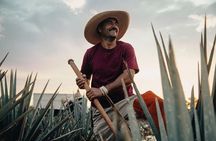 Private Tour to Tequila Ocho Distillery and the Town of Arandas