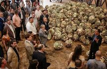 Private Tour to Tequila Ocho Distillery and the Town of Arandas
