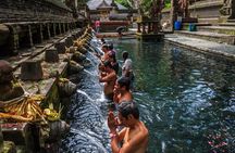 Ubud Tour With Monkey Forest, Rice Terrace, Waterfall, Temple
