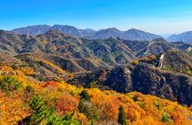Beijing｜Mutianyu Great Wall & Bird Nest Day Tour