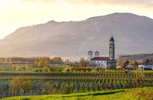 Vipava Valley Wine Express Tour From Ljubljana