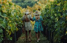 Private hedonistic food and wine experience from Zagreb