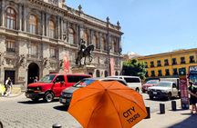 VIP City Tour In Mexico City Driver and Guide Included.