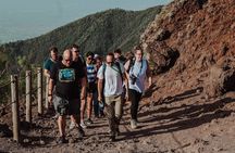 Pompeii and Mount Vesuvius Small Group Tour 