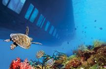 2 Hours Sea Scope Semi Submarine with transfer from Marsa Alam