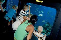 2 Hours Sea Scope Semi Submarine with transfer from Marsa Alam