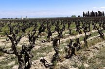 Camargue Day Trip Flamingos Wine and Dead Aquarius