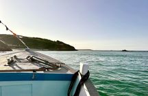 1.5 Hour Coastal Tour of Herm & Jethou