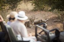 3 Day Kapama Southern Camp Safari