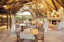 3 Day Kapama Southern Camp Safari