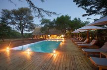 3 Day Kapama Southern Camp Safari