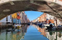 Chioggia: Canals boat tour and take picture of cruise ship