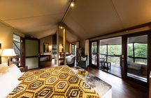 3 Day Kapama Buffalo Camp Safari