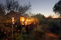 3 Day Kapama Buffalo Camp Safari