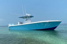 3 Hour Private Snorkeling in Marathon Florida