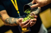 Memphis Signature Guided Brewery Tour