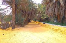 Day Trip in Ksar Ghilane with Lunch and Pickup